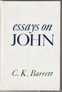 Image of Essays on John