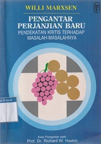 Image of Pengantar perjanjian baru: pendekatan kritis terhadap masalah-masalahnya
